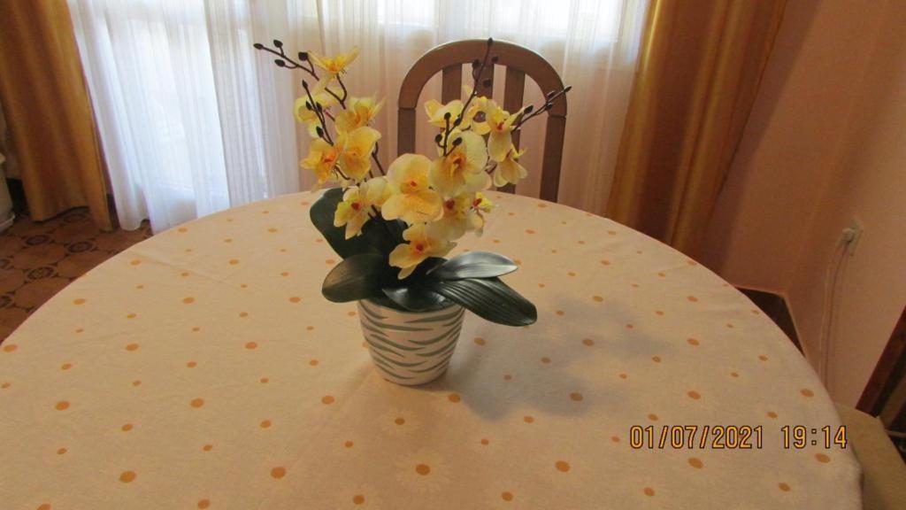 Apartment Tomy تروغير المظهر الخارجي الصورة